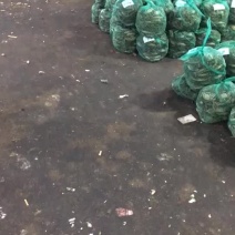 大闸蟹