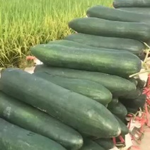 产地直供