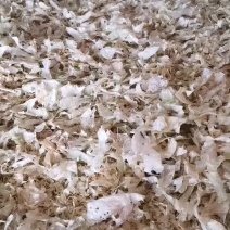 葱头