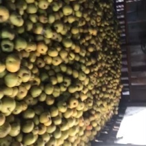 苹果梨冻梨