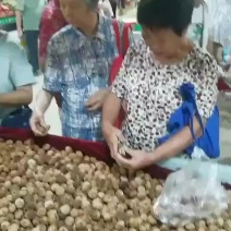 新货核桃云南核桃薄皮核桃，烂货包赔放心购买！良心商家