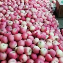 斗南，纸加膜富士
