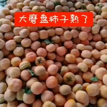 柿子磨盘柿大量上市中