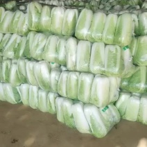 山东大白菜，北京三号，北京新三号白菜大量供应，货源充足