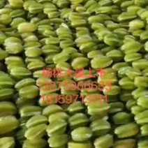 杨桃大量上市