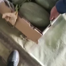 自种自销质量保证