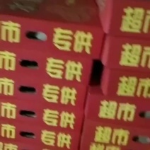 桂林柿饼多品种多规格寻找实力派