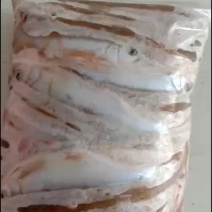 马口鱼