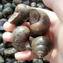 大量收购