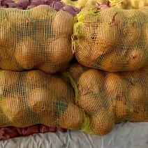 雪花梨罐头厂果汁厂加工梨纸袋350~400g