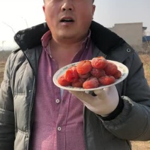 正宗富平柿饼天然着霜