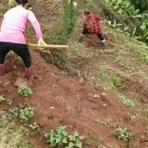 土地出租