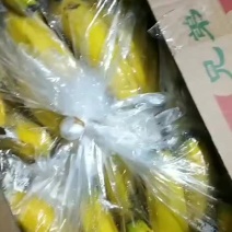 香蕉