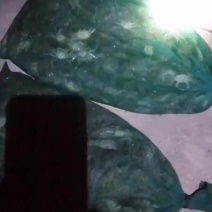 螃蟹，老头蟹