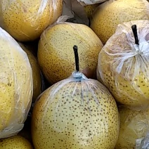 自产