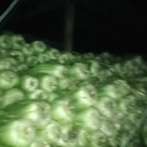 因家中缘故储存冬菜批量销售有意电讯