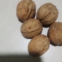 薄皮核桃。