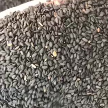 黑芝麻