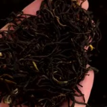 茉莉红茶正山小种广西横县特级浓香型茉莉花红茶正山小种
