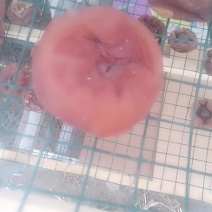 柿子饼