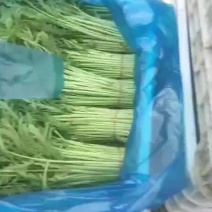 茼蒿菜