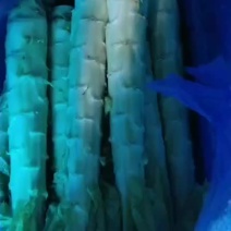 莴笋杆子甘兰