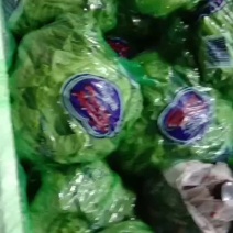 生菜