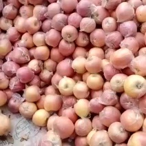 纸加膜富士