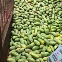 还有老板需要吗？