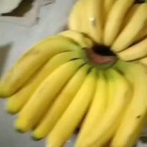云南三把好香蕉，不黑心不硬心，口感很好，质量有保障