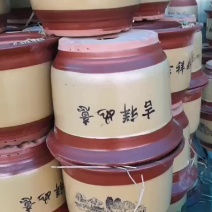 花盆