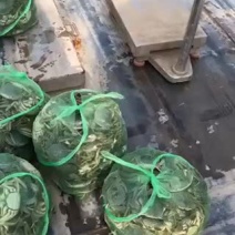 山东微山湖高品质高质量大闸蟹