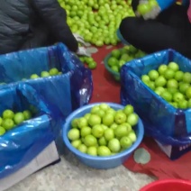 青枣，芭乐