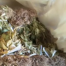 见血清干货需要联系我哦