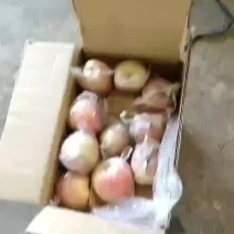 苹果