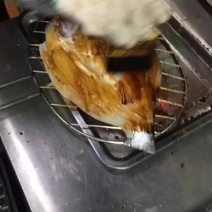 开背鲈鱼白蕉海鲈鱼厂家一手供应欢迎下单咨询