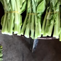 白菜苔
