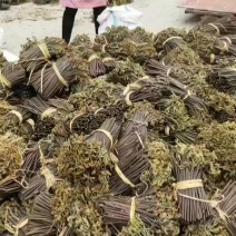 本地有大量的野生蕨菜出售。