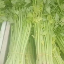 芹菜