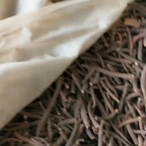 赤芍