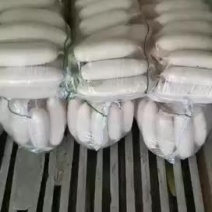 出售白萝卜，工厂货，市场货，打包货。都有