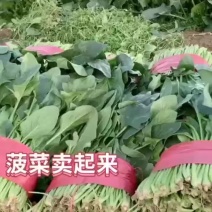 物美你廉