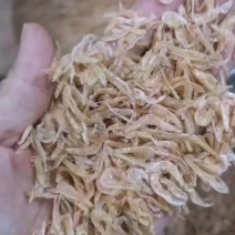 虾干