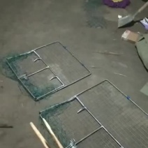 拍网