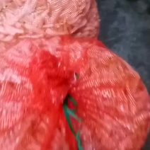 宜宾三江新区马家特产高规格光头无农药葱香藠头