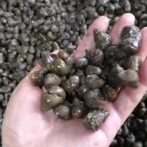 大量供应各种规格优质螺丝