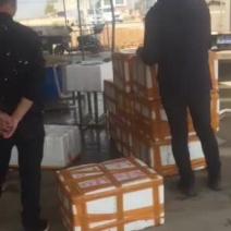 小龙虾批发