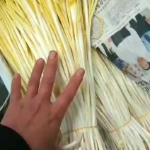蒜黄，本地长年供应各种蔬菜