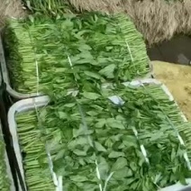 空心菜，有机植物，可以配货，按需分拣，支持线上交易