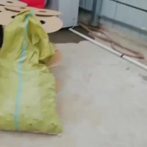 迷宫滴灌带